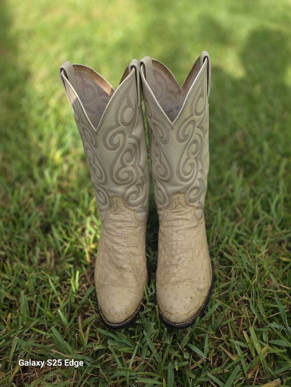 Dan Post Ostrich  Leather Western Boot Mens Size 10D
